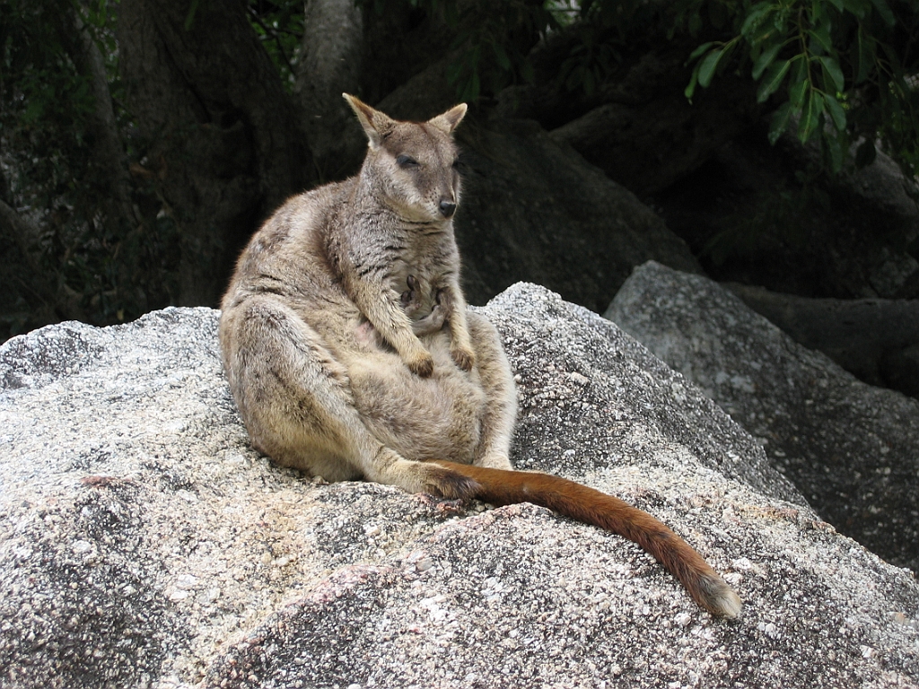 124 Granite Gorge.jpg